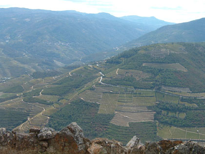 Encontro XXI - Passeio Douro/Tâmega (2005)
